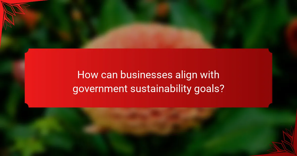 How can businesses align with government sustainability goals?