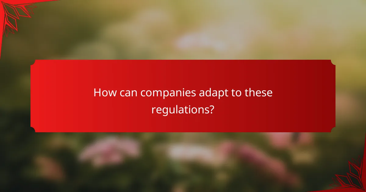 How can companies adapt to these regulations?