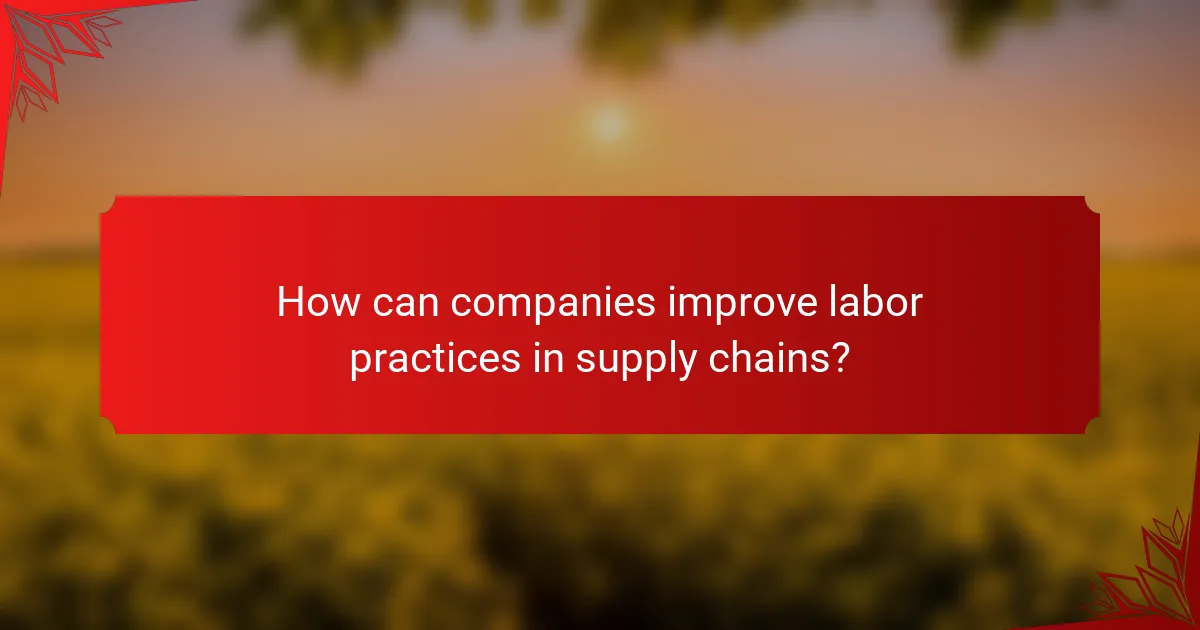 How can companies improve labor practices in supply chains?