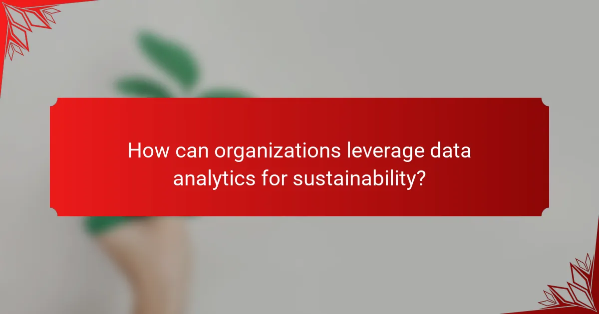 How can organizations leverage data analytics for sustainability?
