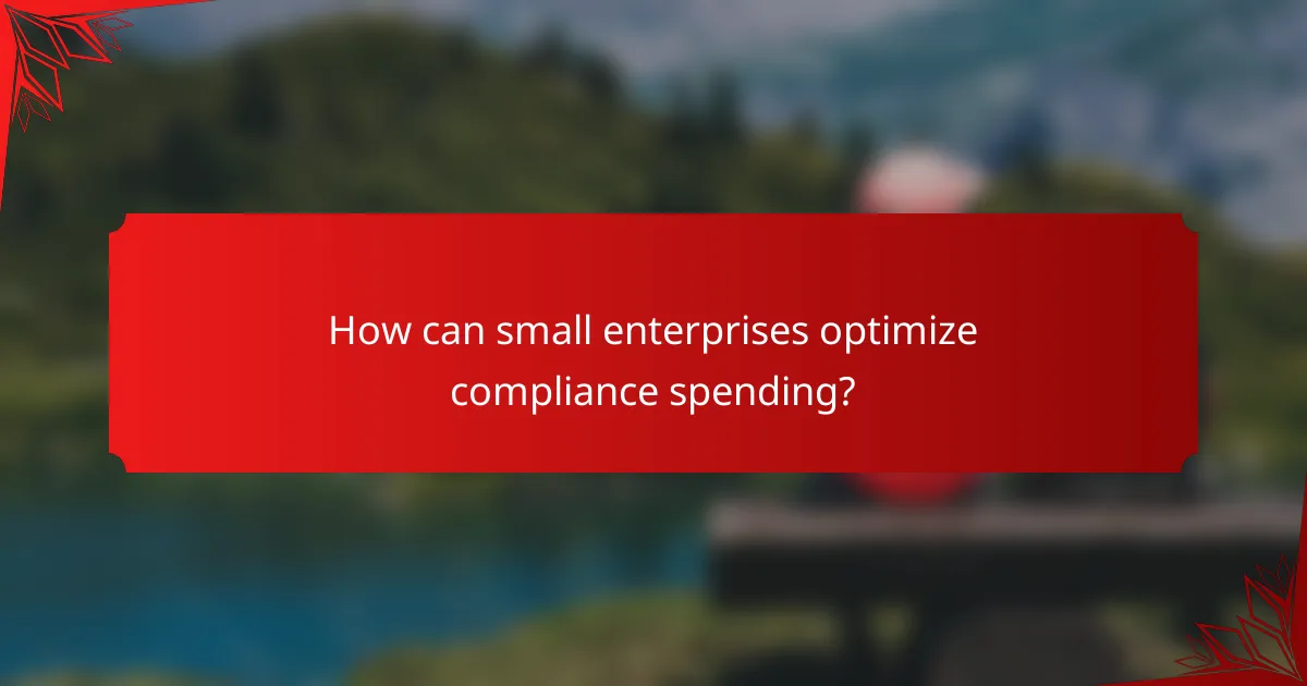How can small enterprises optimize compliance spending?