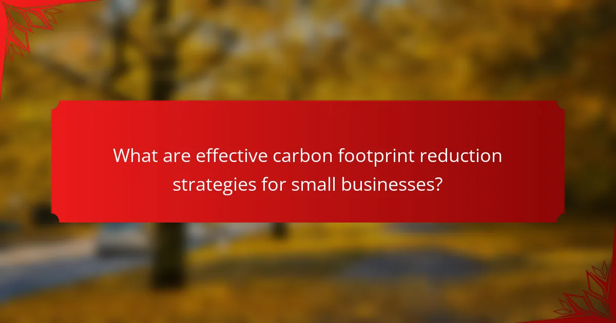 What are effective carbon footprint reduction strategies for small businesses?