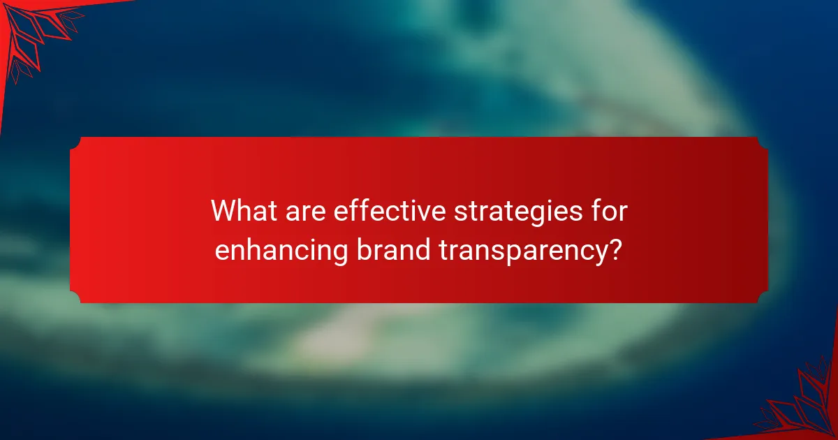 What are effective strategies for enhancing brand transparency?