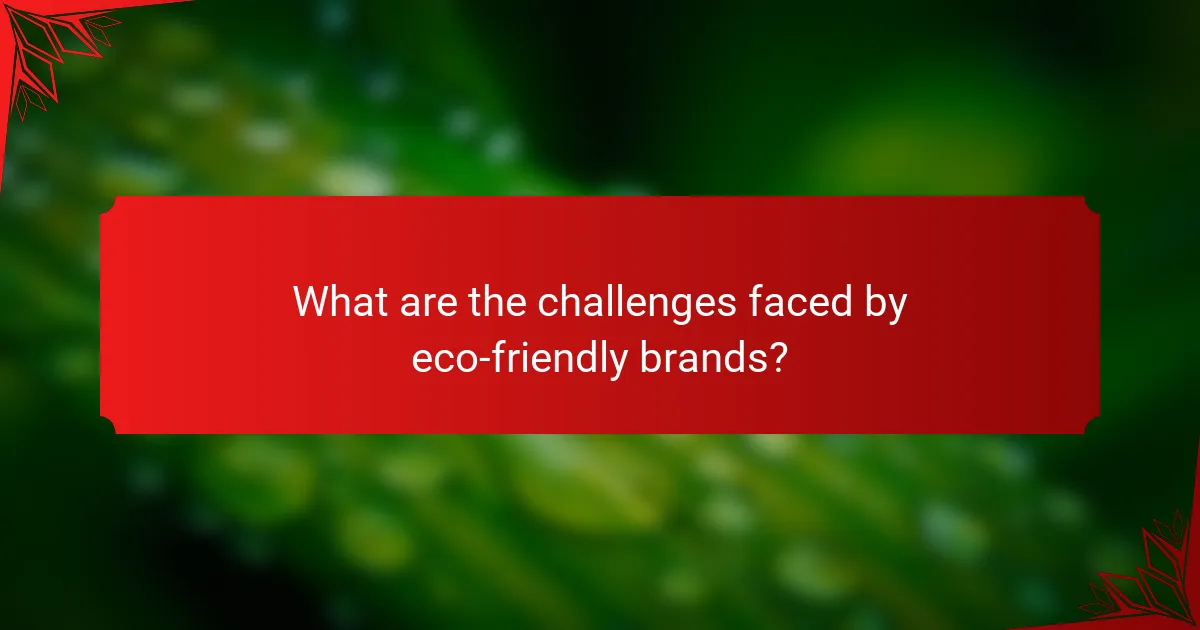 What are the challenges faced by eco-friendly brands?