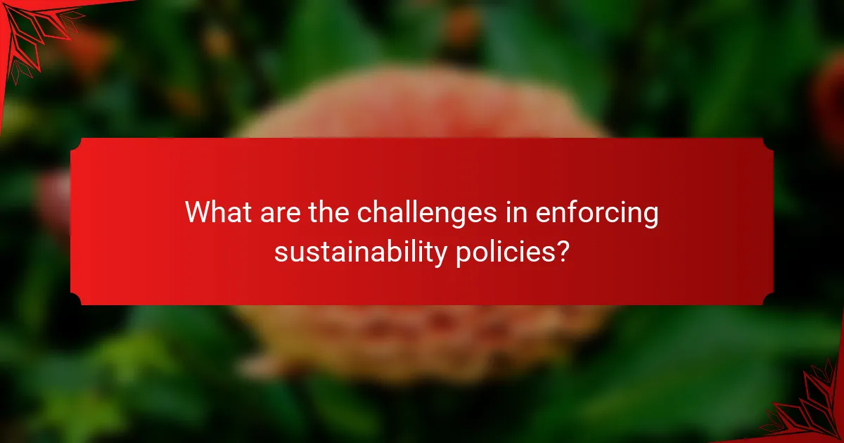 What are the challenges in enforcing sustainability policies?