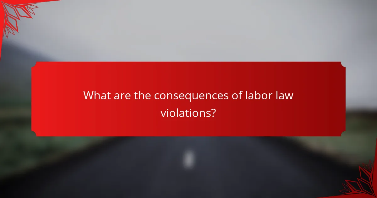 What are the consequences of labor law violations?