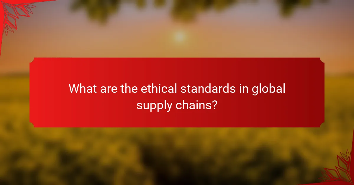 What are the ethical standards in global supply chains?
