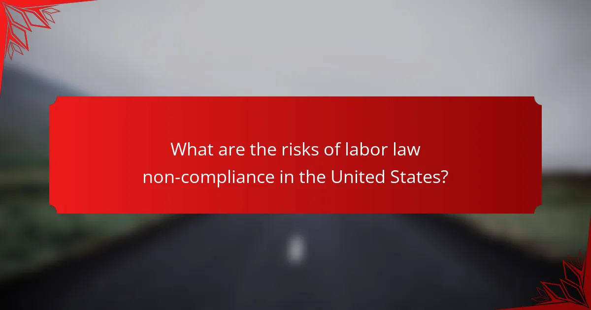 What are the risks of labor law non-compliance in the United States?