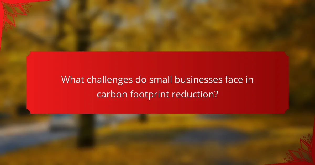 What challenges do small businesses face in carbon footprint reduction?