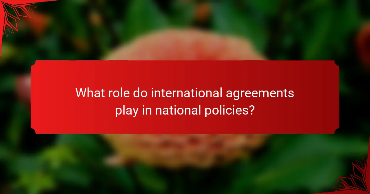 What role do international agreements play in national policies?