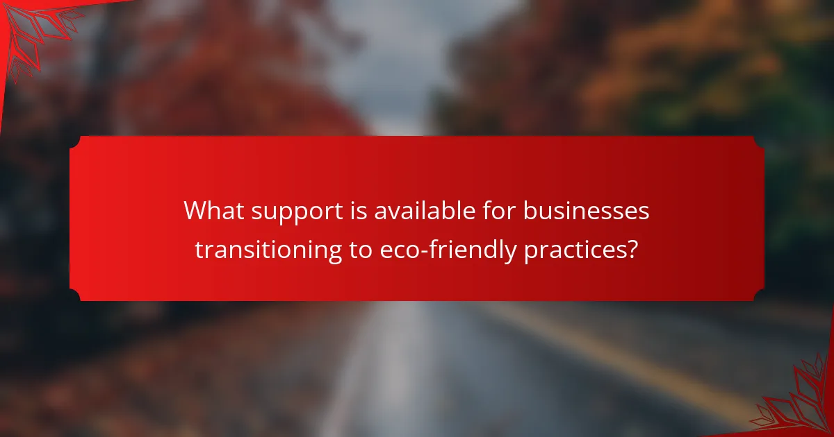 What support is available for businesses transitioning to eco-friendly practices?